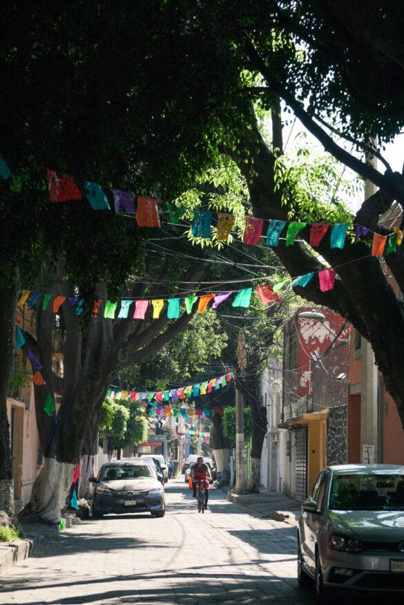 Grüne Strasse in Mexiko Stadt