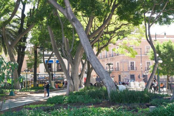 Stadtpark von Puebla