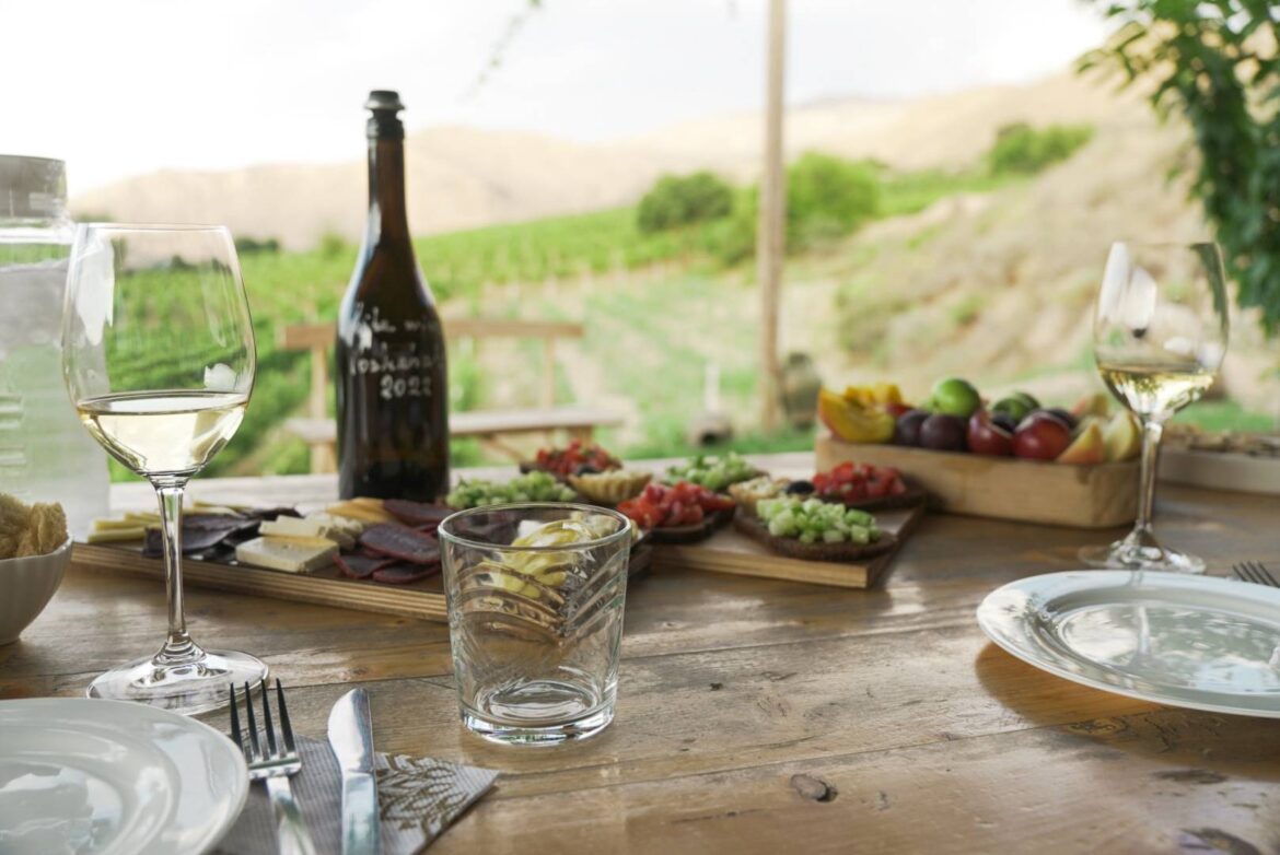 Weindegustation mit Gläsern, Snackplatte und Aussicht über Rebberg in Armenien