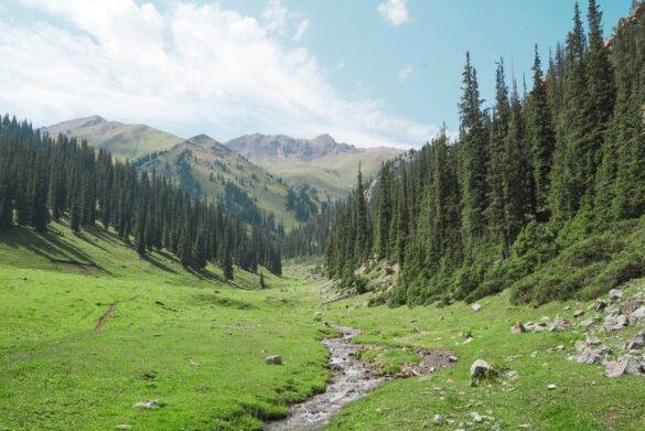 Alpenwiese mit einem Bach in Kirgistan, Unkur Sai