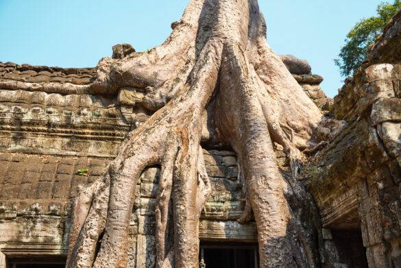 Tomb Raider Bekanntheit in Angkor Wat